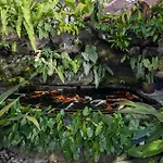 Cloudspace Ubud